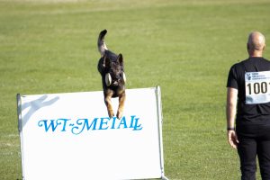 IMG_0105
