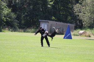IMG_9227